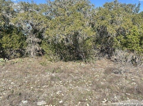 102 S John Bird, Blanco, TX 78006