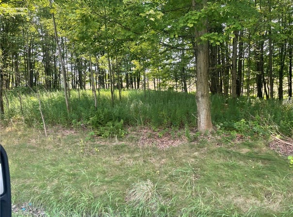 Rt-206, Masonville, NY 13804
