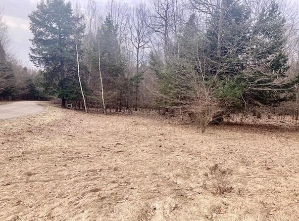 10228 Opal Ridge Drive, Onekama, MI 49675