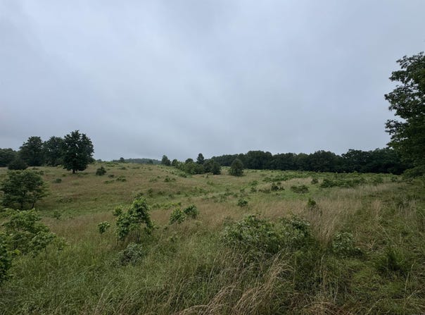 0 Honeytree Lane, Camp, AR 72520