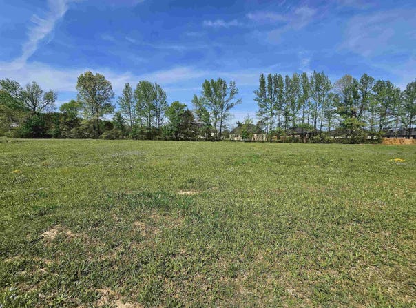 30 Crescent Cove, Ward, AR 72176