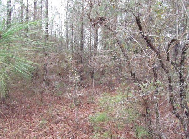 000 Eddie Smith Rd, Hattiesburg, MS 39402