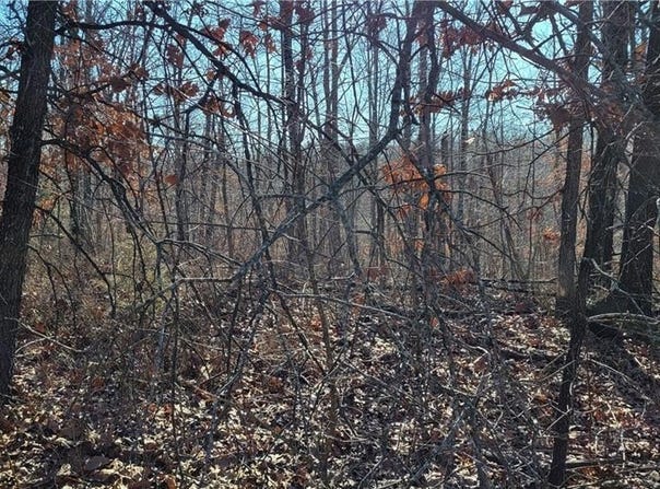 Maidstone  LN, Bella Vista, AR 72714