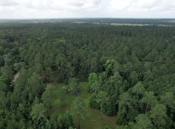 TBD CR 4020, Crockett, TX 75835