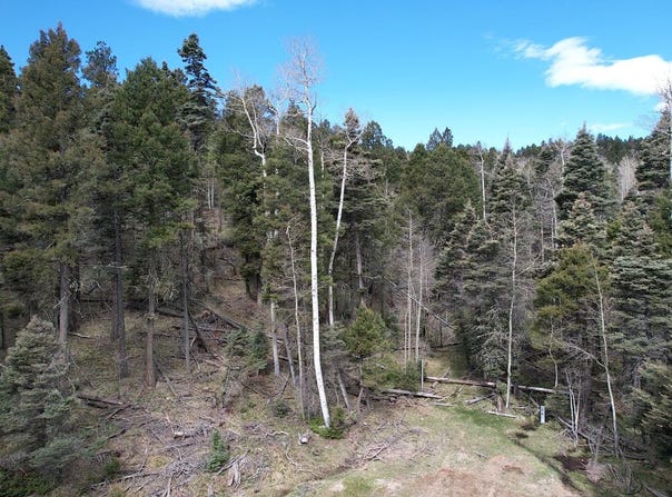 Tbd Apache Circle, Angel Fire, NM 87710