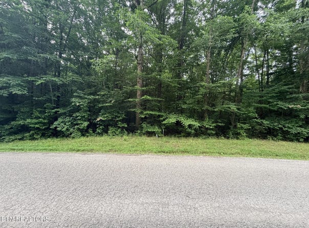 Lot 3 Evergreen Drive, Oneida, TN 37841