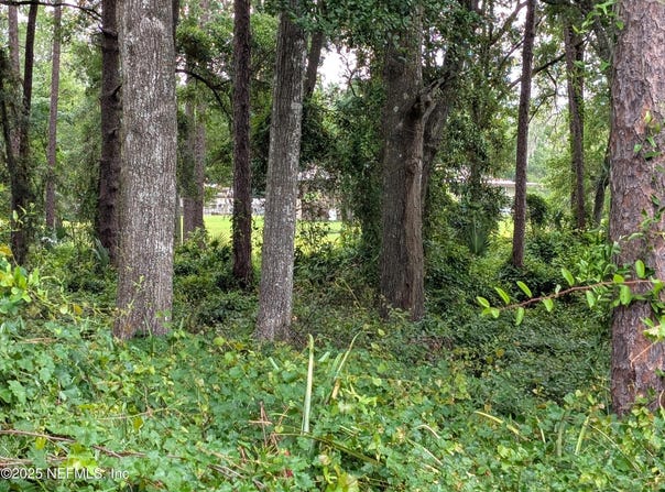 SE 1ST Avenue, Keystone Heights, FL 32656