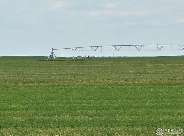 Cope, CO 80812