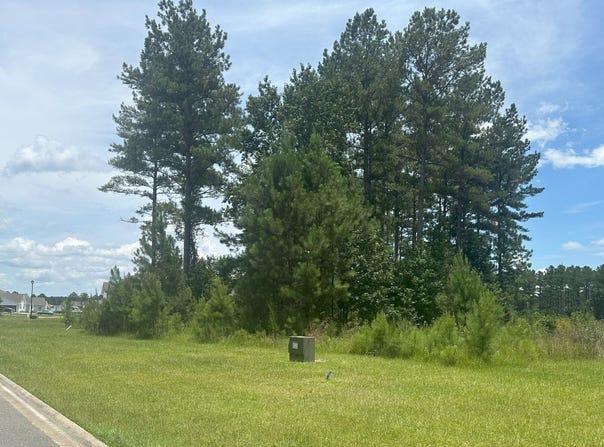 105 Park View, Kingsland, GA 31548