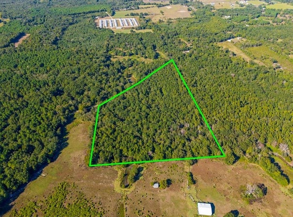 FM 3324, 24 Acres, Pittsburg, TX 75686