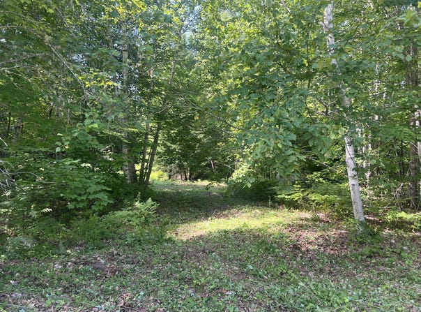 90 Bobcat Drive, Waltham, ME 04605