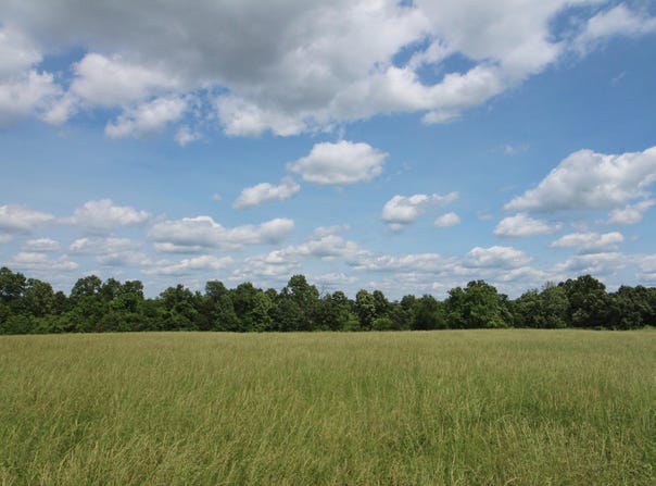 000 Couty Road 7830, Caulfield, MO 65626