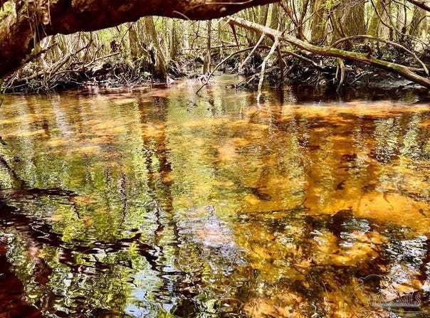 Lot 96 Turning Leaf Rd, North Pace, FL 32571