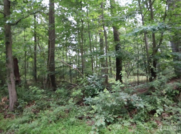 181 Mountain Road, East Amwell, NJ 08551