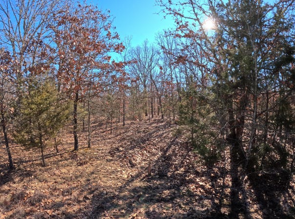 Tract A Greatview Lane, Lebanon, MO 65536