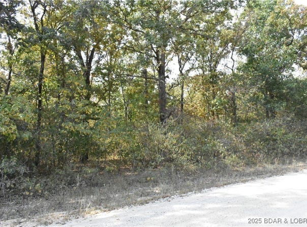 Stoney Oak Drive, Gravois Mills, MO 65037