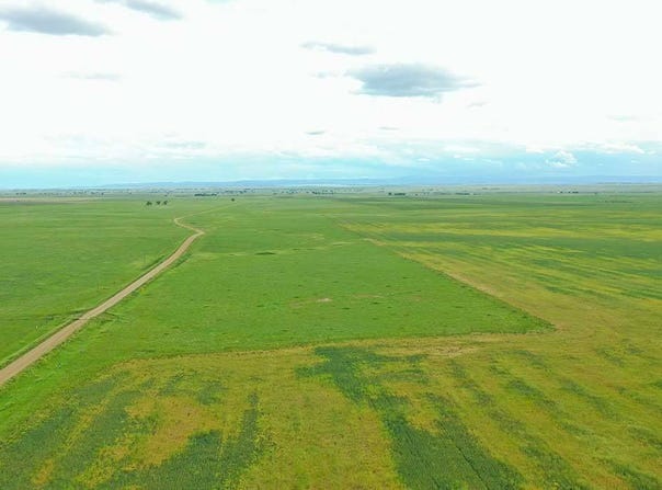TBD Arpan Road, Nisland, SD 57762