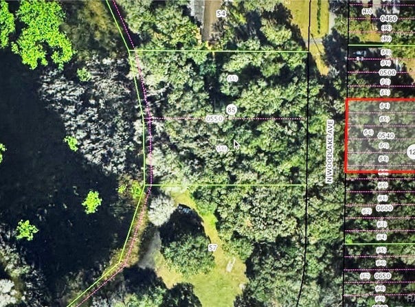 533 N Woodlake Avenue, Inverness, FL 34453
