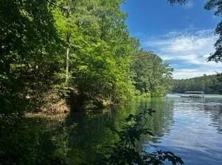 SIPSEY OVERLOOK Dr lot: #55, Double Springs, AL 35553