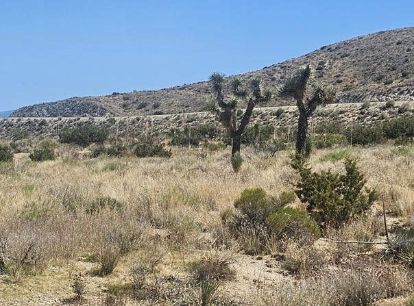 Avenue X / 136th St E, Pearblossom, CA 93553