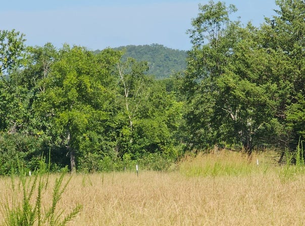 Cole Spur Loop, Tuskahoma, OK 74574