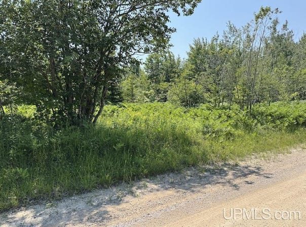TBD 10 Acres Webb, Grand Marais, MI 49839