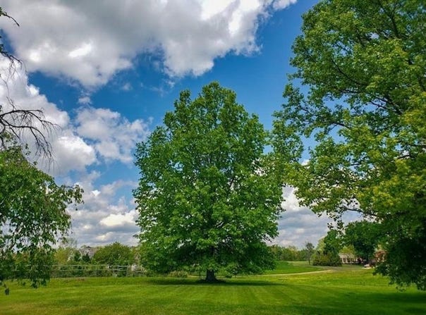 4689 E State Road 45, Bloomington, IN 47408