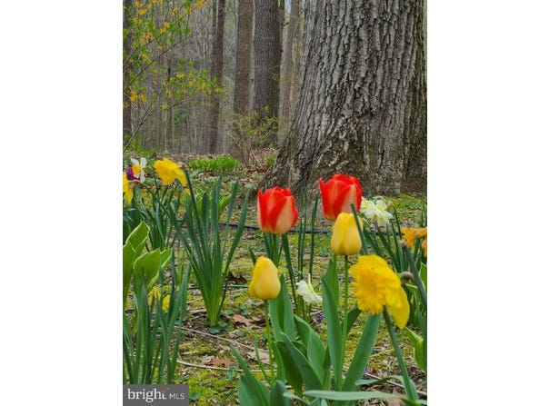 1738 SHANWICK ROAD, FOREST HILL, MD 21050