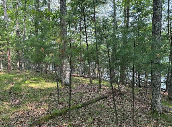 Lot 1 THUNDER HILL LN, St Germain, WI 54558