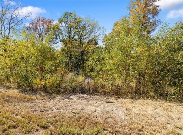 Lot 29 Peaceful  PL, Harrison, AR 72601