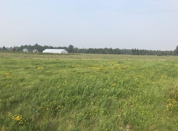 21955 S STEINBECK ROAD, RUDYARD, MI 49780