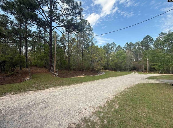 115 Carefree Ct, Leesville, SC 29070