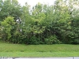75 Leffingwell Drive, Orwell, OH 44076