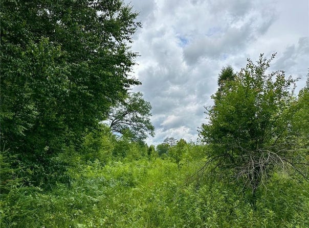 Lot 11 Block 1 Opah's Landing, Aitkin, MN 56431