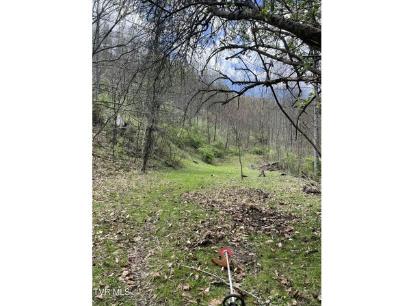Tbd Crabtree Hollow, Clintwood, VA 24228