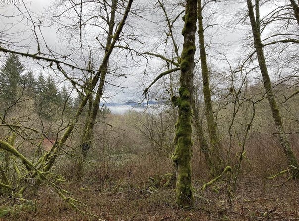 NE 197th Ct, Amboy, WA 98601