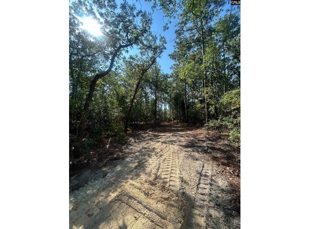 0 Gary Hallman Circle, Leesville, SC 29070