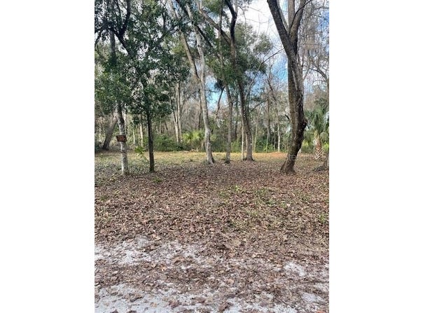 NE 164 LANE, CITRA, FL 32113