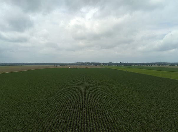 Highway 50, Snook, TX 77878