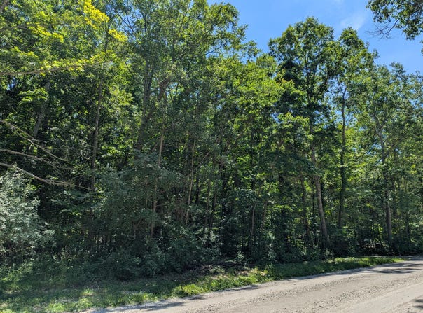 15320 Larsen Avenue NE, Gowen, MI 49326