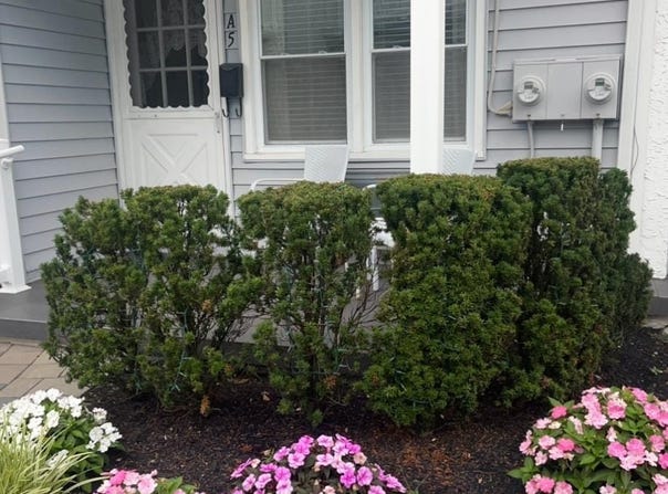 16 W 11th Street, Ocean City, NJ 08226