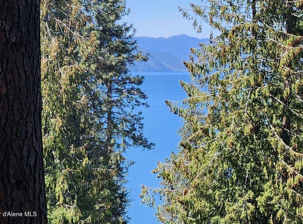 NNA E David Thompson Rd, Hope, ID 83836