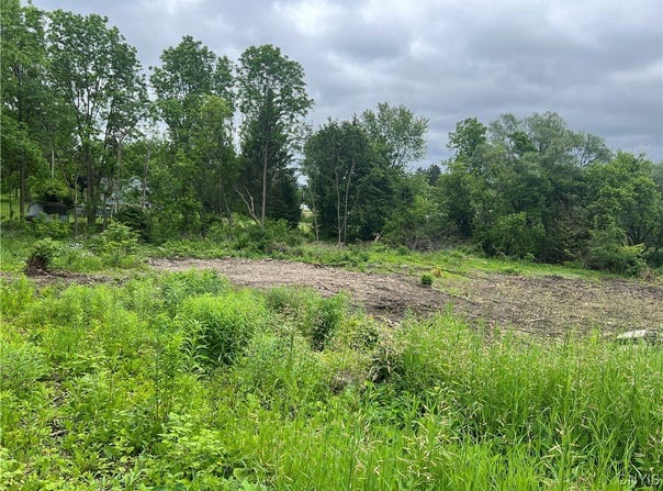 Franklin Street, Homer, NY 13077