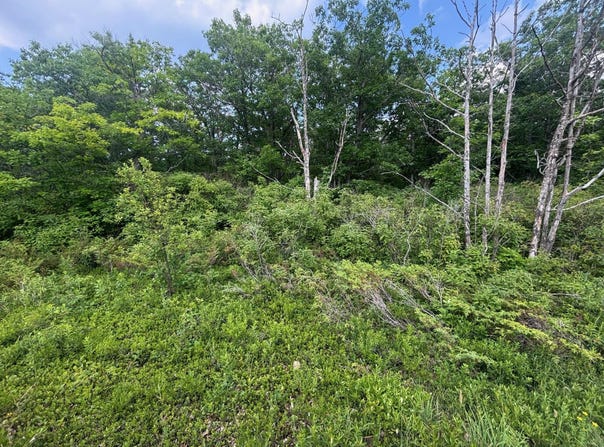 NHN Highland Pines Road, Presque Isle, MI 49777