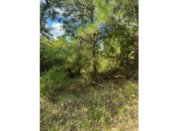 Tahitian Dr lot: 1338 And 1339, Bastrop, TX 78602