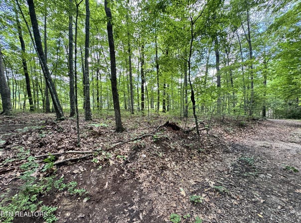 E Loomis Rd, Jamestown, TN 38556