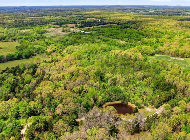 Sparrow Drive, Marshfield, MO 65706