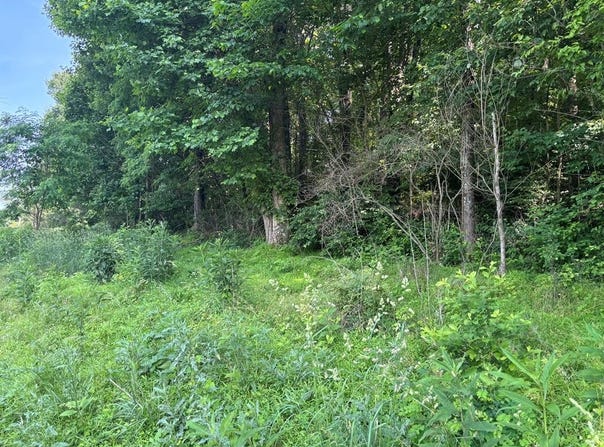 Tbd Reedy Creek Rd, Abingdon, VA 24210