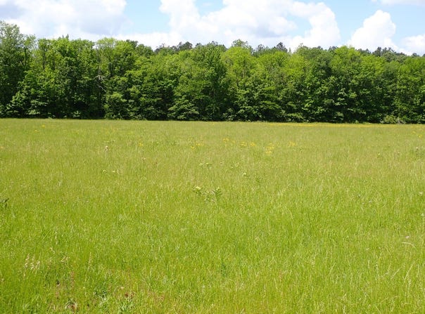 0 County Road 24, Pine Apple, AL 36768