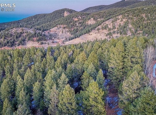 959 Calcite Drive, Divide, CO 80814